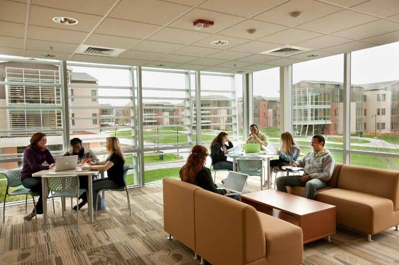 Students sitting in lounge of Movement Science House